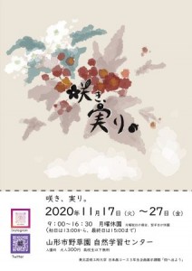チラシおもて_01