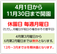 開園日について