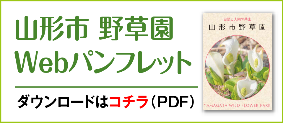 山形市野草園Webパンフレット ダウンロードはコチラ（PDF）