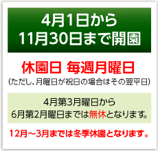 開園日について