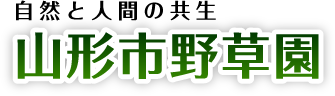 人と自然の共生 山形市野草園