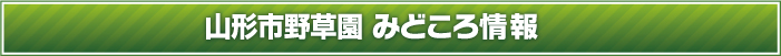 山形市野草園　みどころ情報