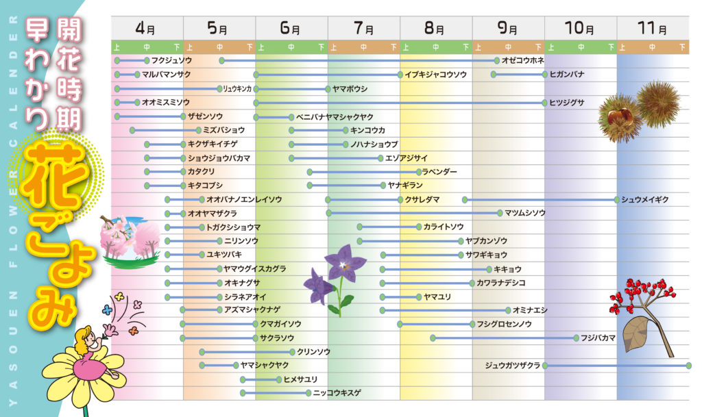 開花時期早わかり花ごよみ